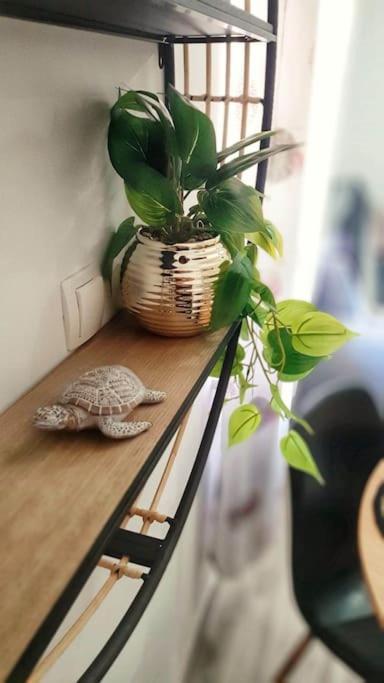Apartman Lammi Split Extérieur photo
